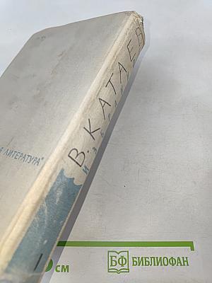 Волны чёрного моря. Том 1. Белеет парус одинокий. Хуторок в степи