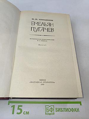 Емельян Пугачев. Историческое повествование в 3-х книгах. Книга 1