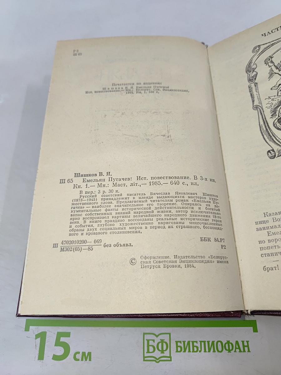 Емельян Пугачев. Историческое повествование в 3-х книгах. Книга 1