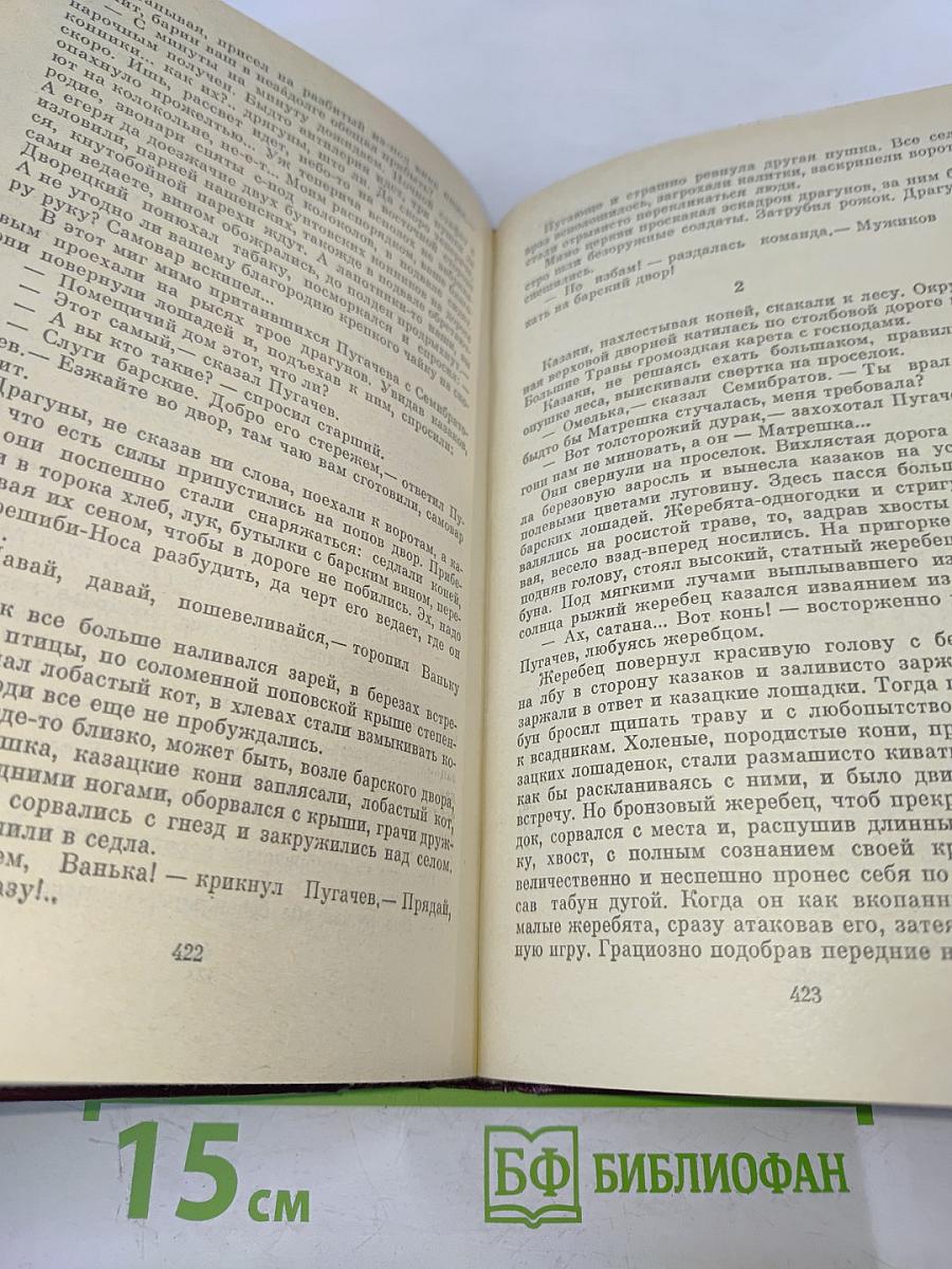 Емельян Пугачев. Историческое повествование в 3-х книгах. Книга 1