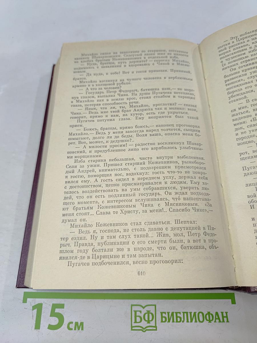 Емельян Пугачев. Историческое повествование в 3-х книгах. Книга 1