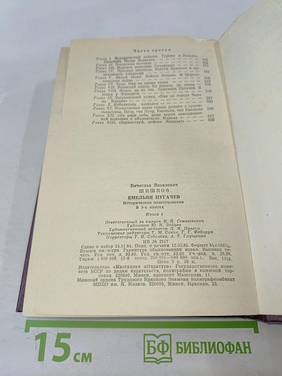 Емельян Пугачев. Историческое повествование в 3-х книгах. Книга 1