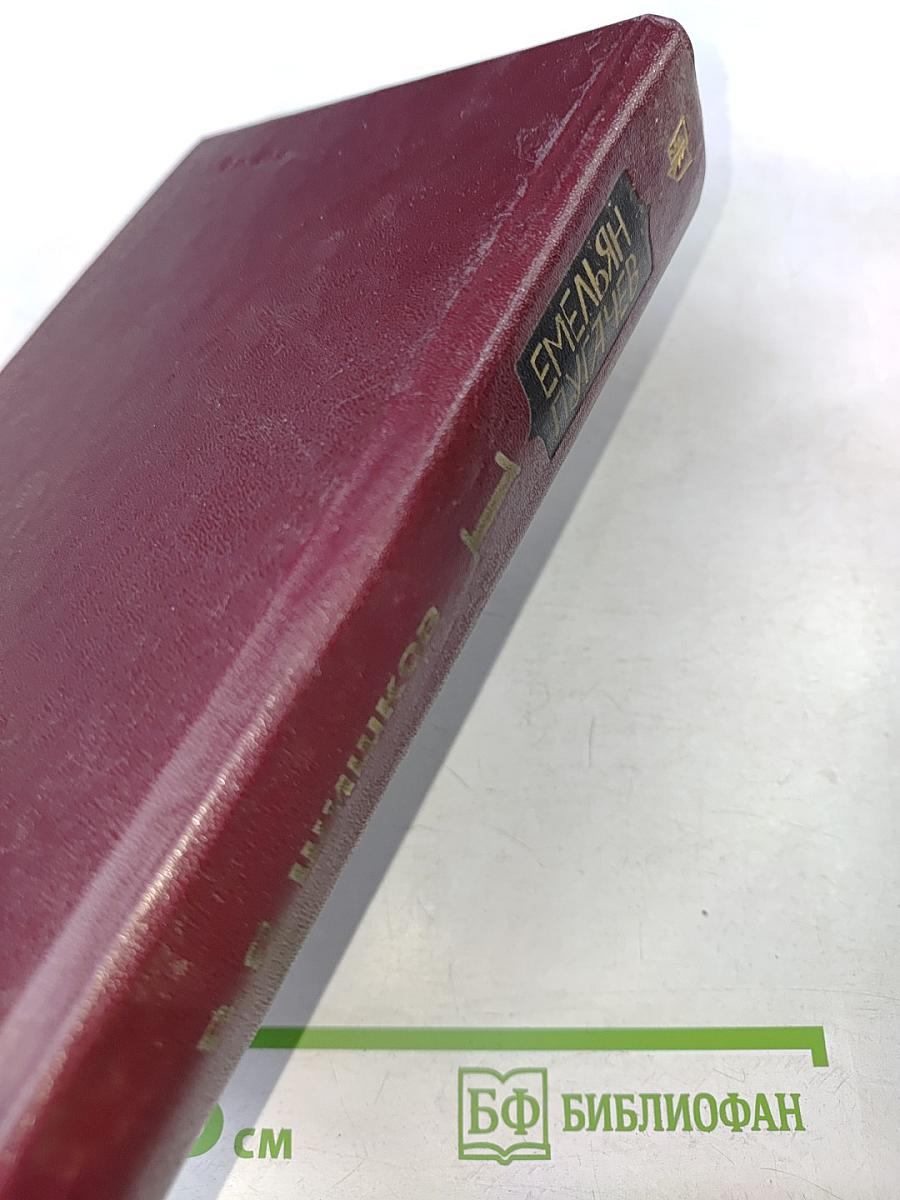 Емельян Пугачев. Историческое повествование в 3-х книгах. Книга 1