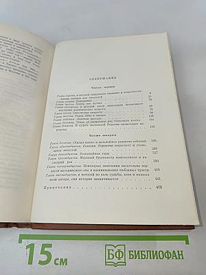 Черный город. Том шестой