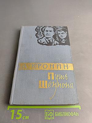 Путь Шеннона