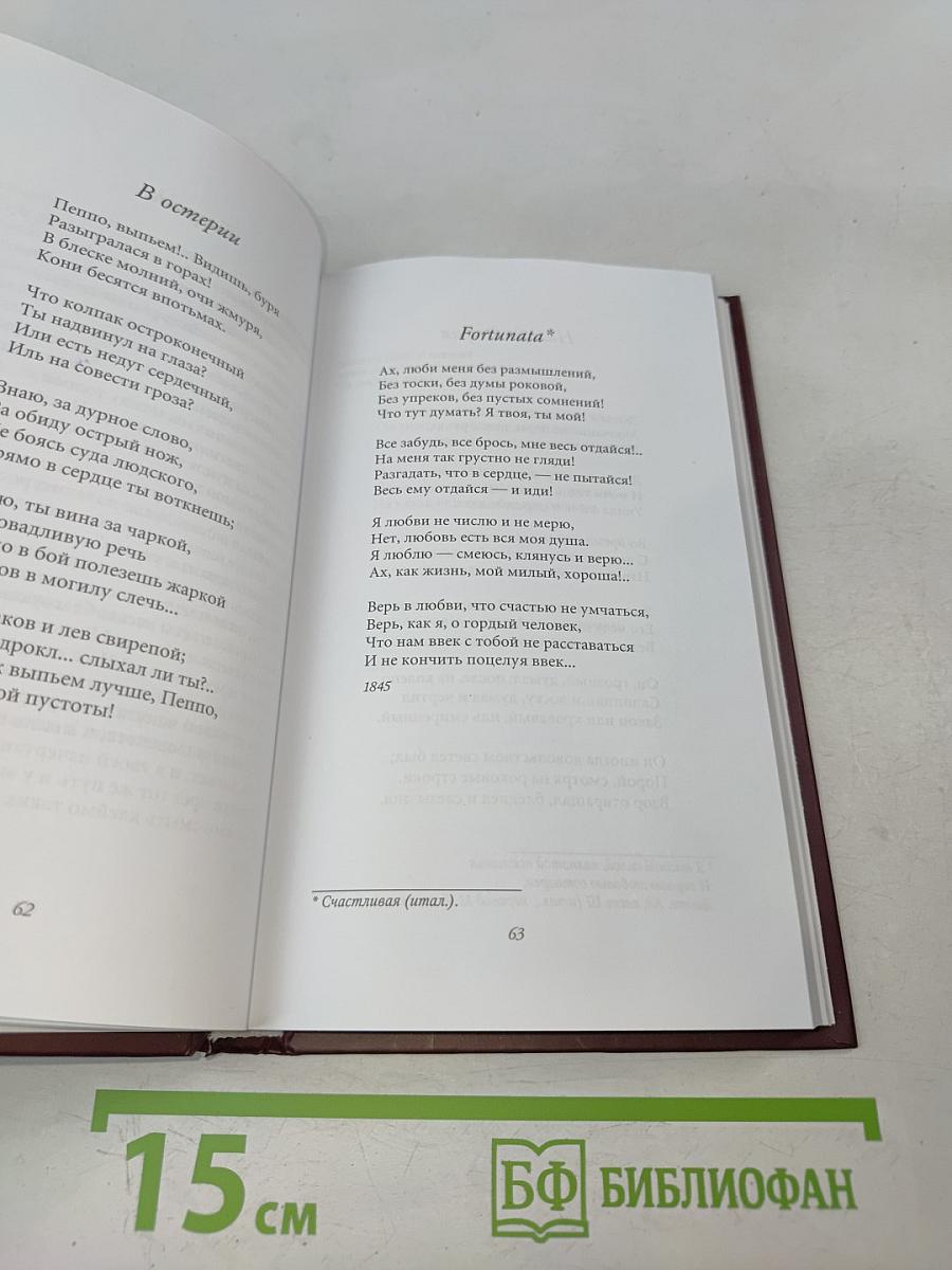 Аполлон Майков. Память сердца