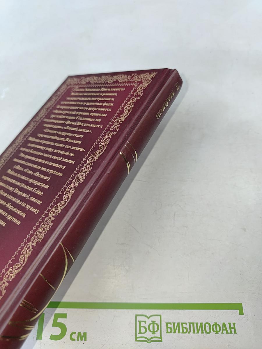 Аполлон Майков. Память сердца