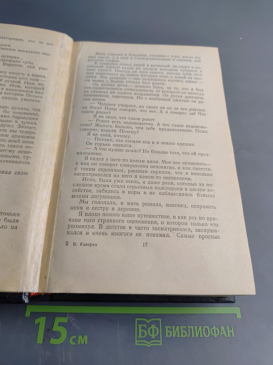 Два капитана