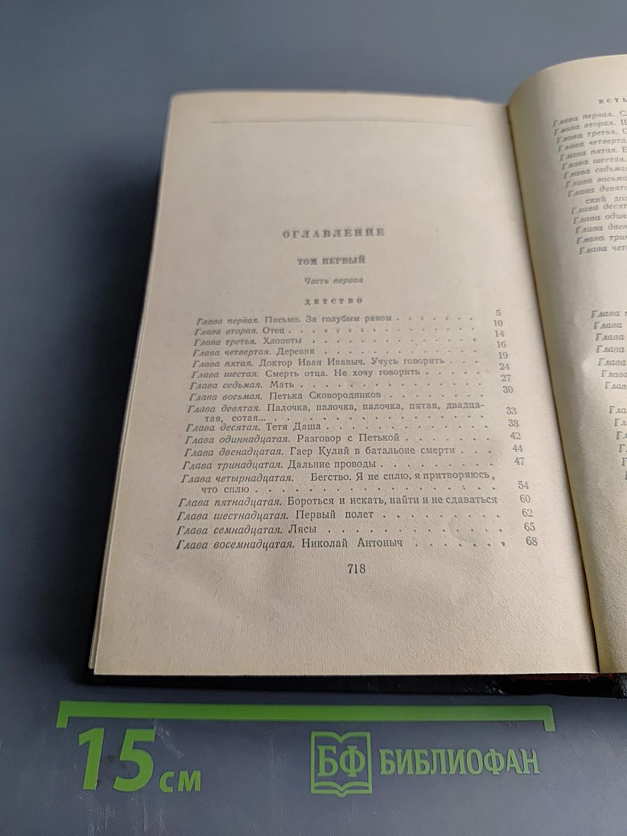 Два капитана