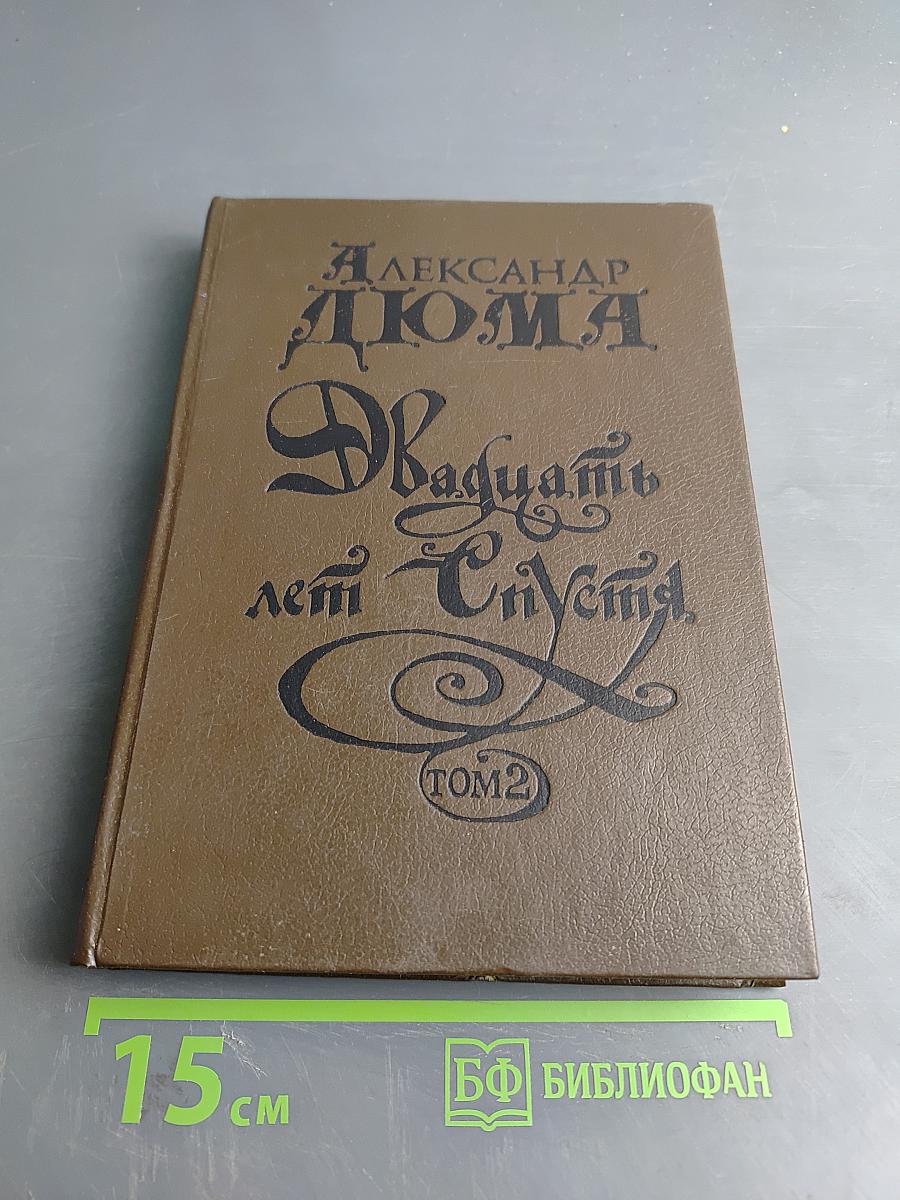 Двадцать лет спустя. Том 2