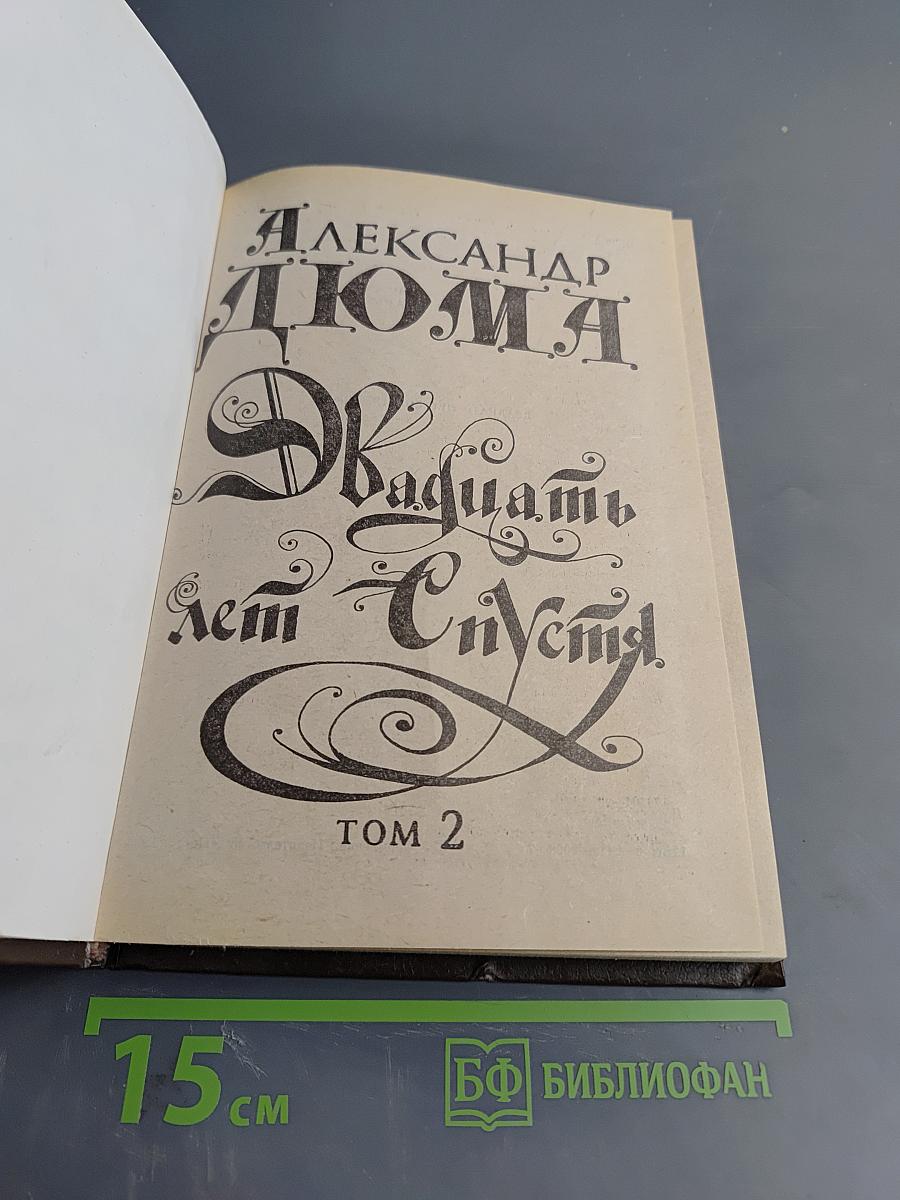 Двадцать лет спустя. Том 2