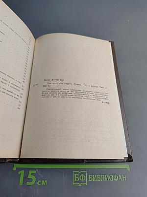 Двадцать лет спустя. Том 2