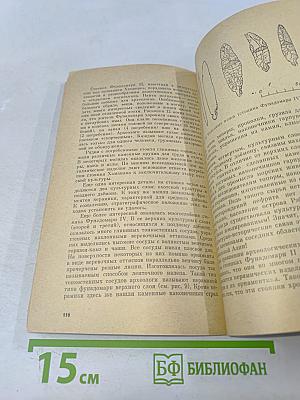 По следам древних культур Хоккайдо