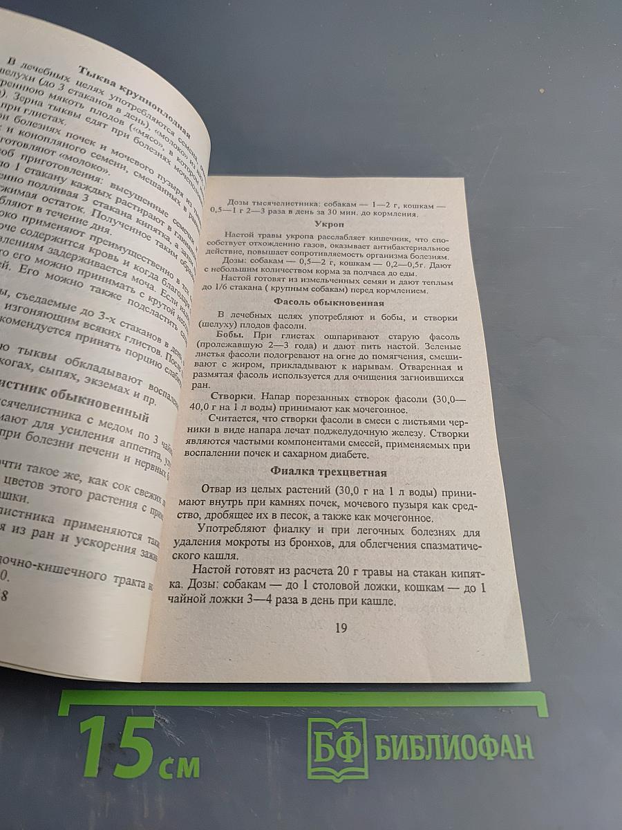 Болезни кошек и собак