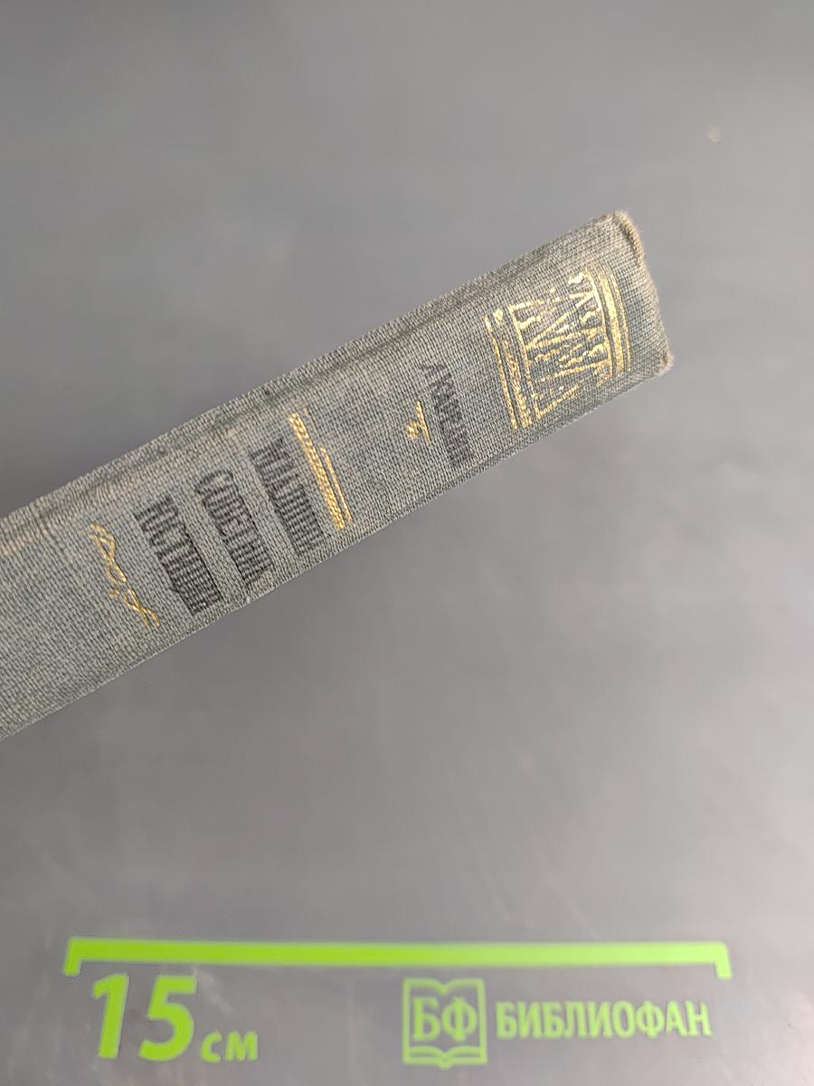 Младший советник юстиции