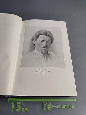 Собрание сочинений. Том 28. Письма, телеграммы, надписи 1889-1906