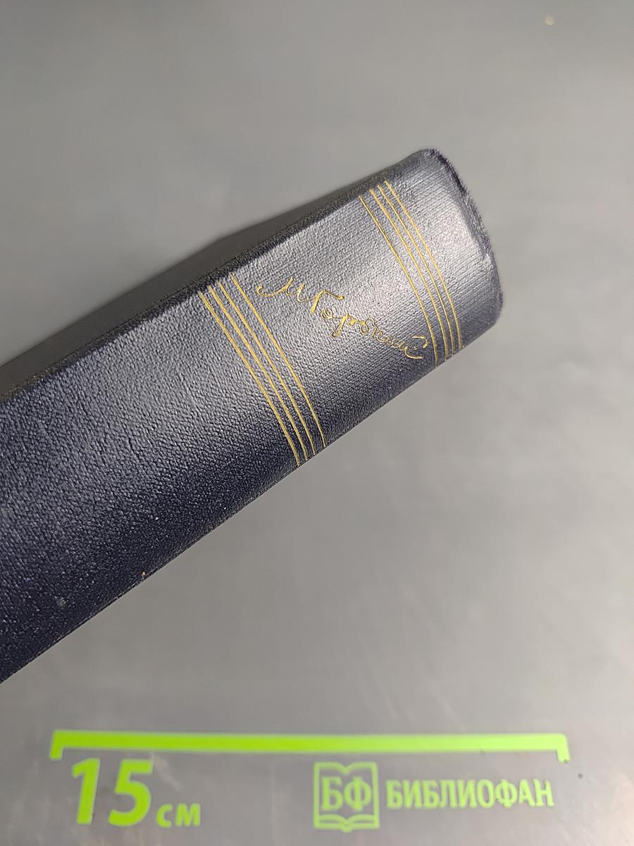 Собрание сочинений. Том 28. Письма, телеграммы, надписи 1889-1906