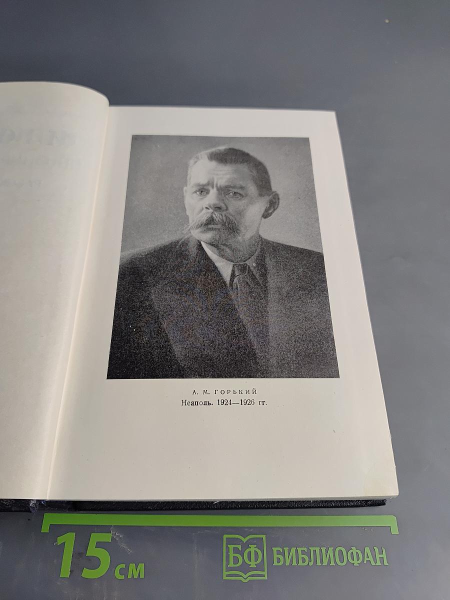Собрание сочинений в 30 томах. Том 16. Рассказы, повести 1922–1925