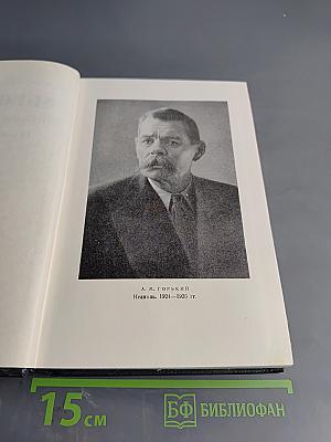 Собрание сочинений в 30 томах. Том 16. Рассказы, повести 1922–1925