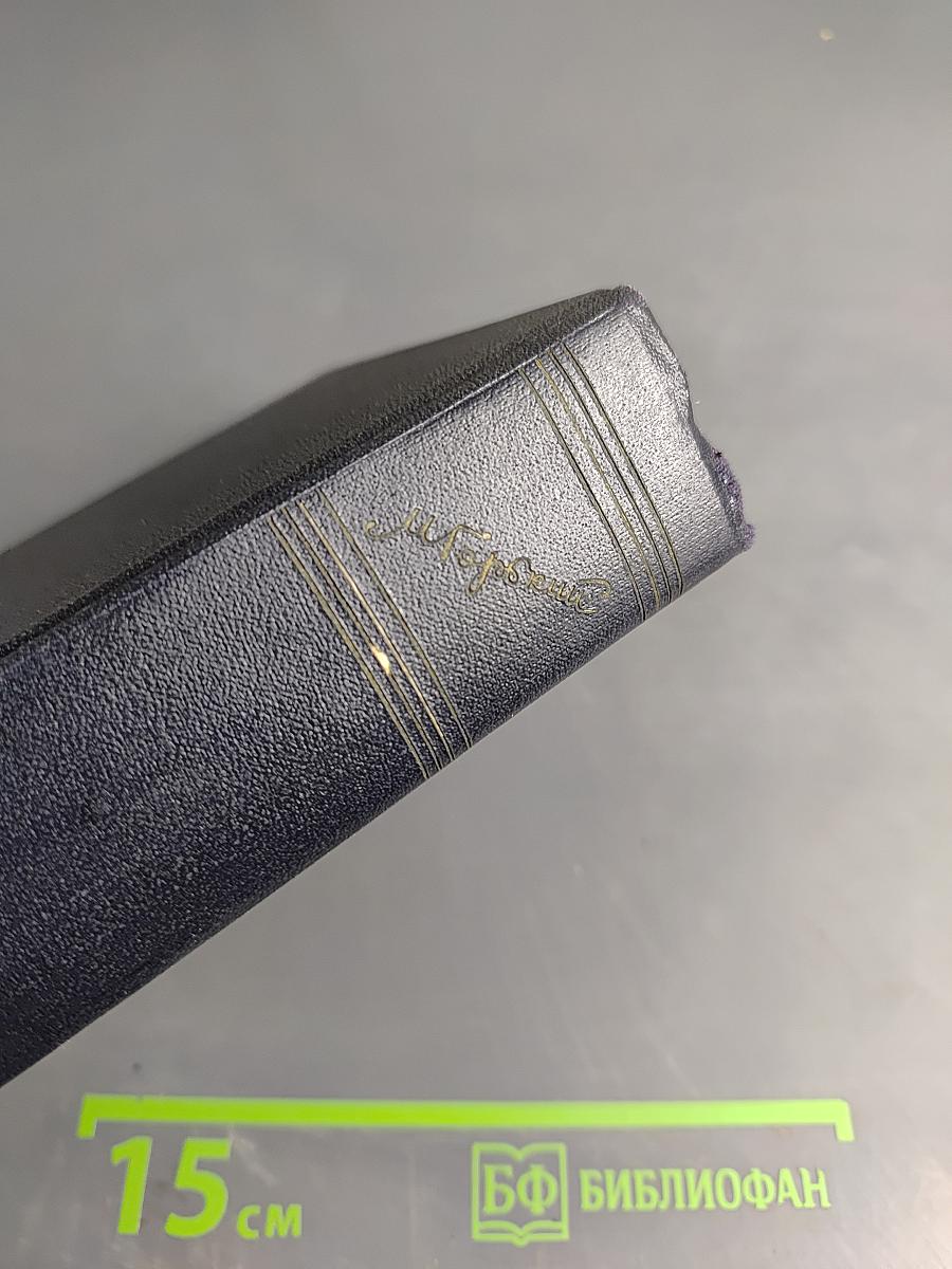 Собрание сочинений в 30 томах. Том 16. Рассказы, повести 1922–1925