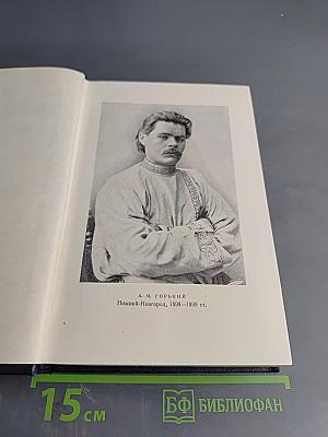 Собрание сочинений. Том 3. Рассказы 1896-1899