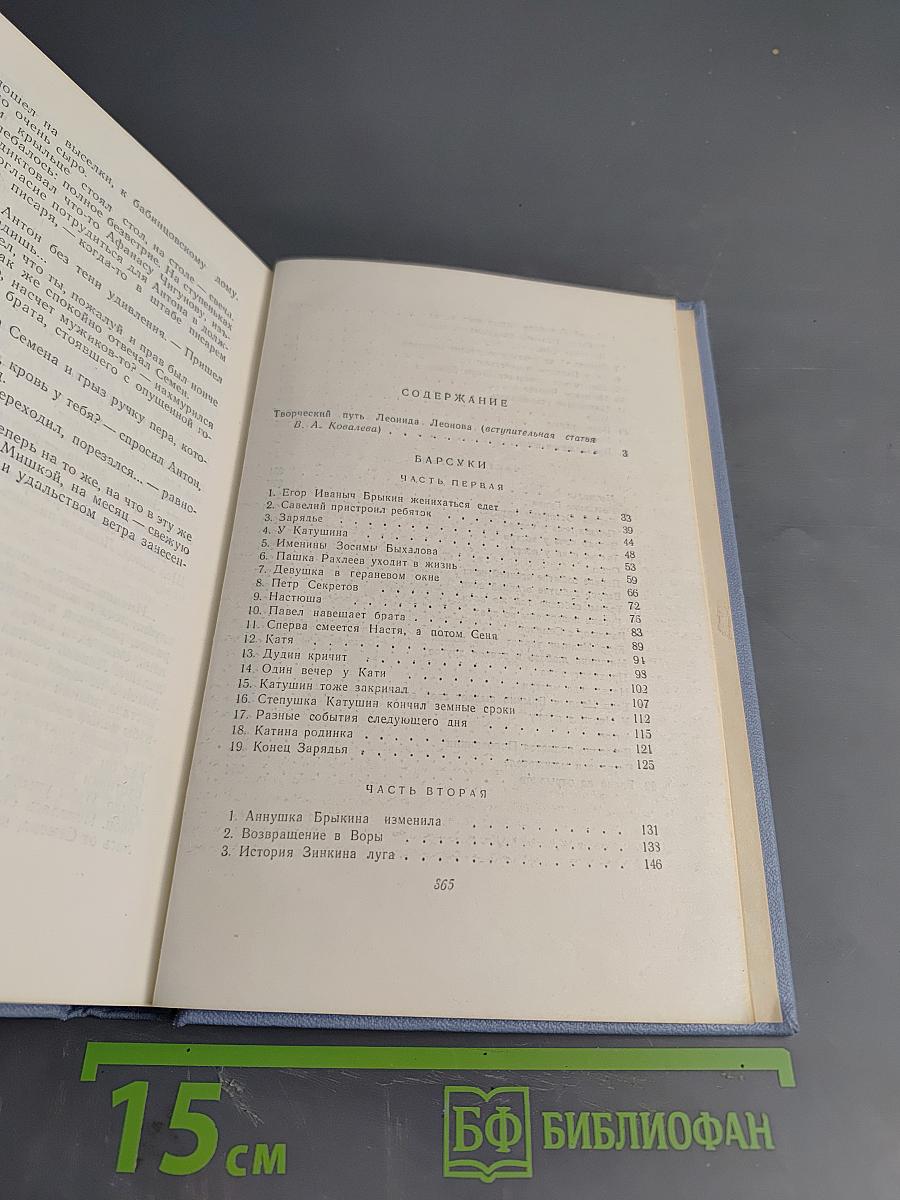 Собрание сочинений в пяти томах. Том первый. Барсуки