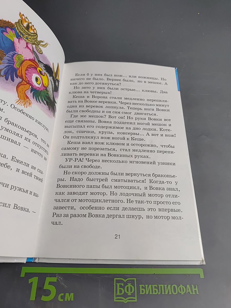 Попугай Кеша ищет клад