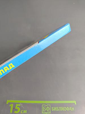 Попугай Кеша ищет клад