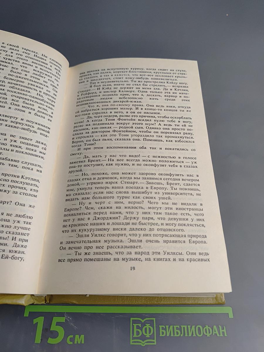 Унесенные ветром. Том 1