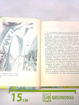 Лесная лошадь