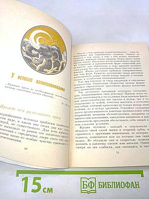 Взаимопонимание