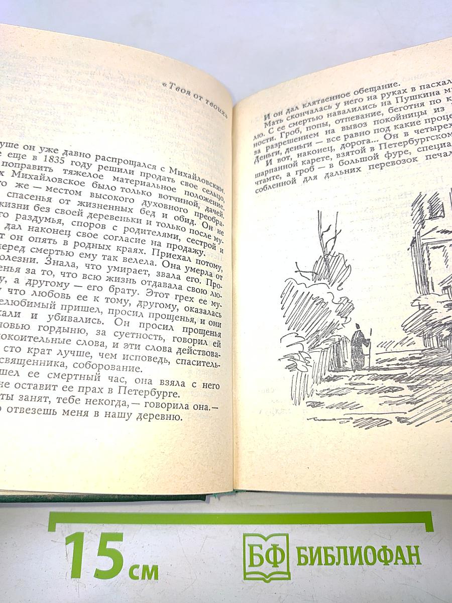 У Лукоморья