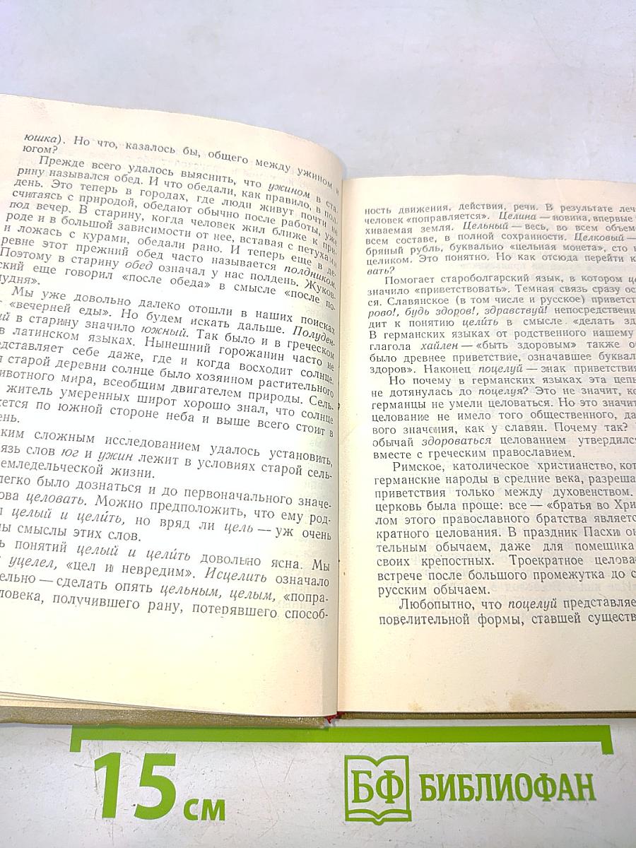 В мире слов