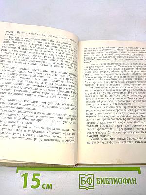 В мире слов