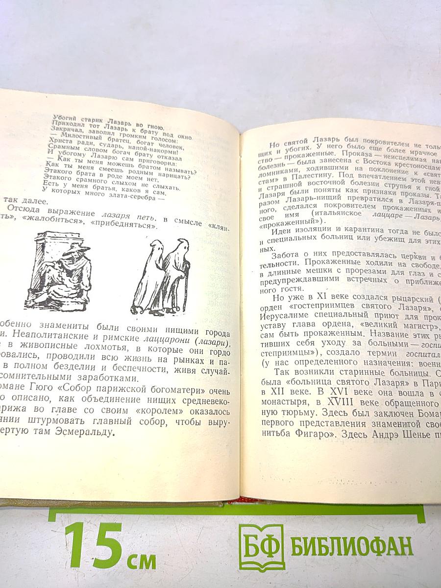 В мире слов