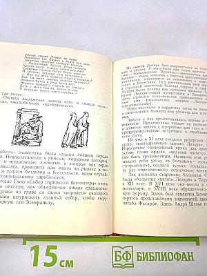 В мире слов