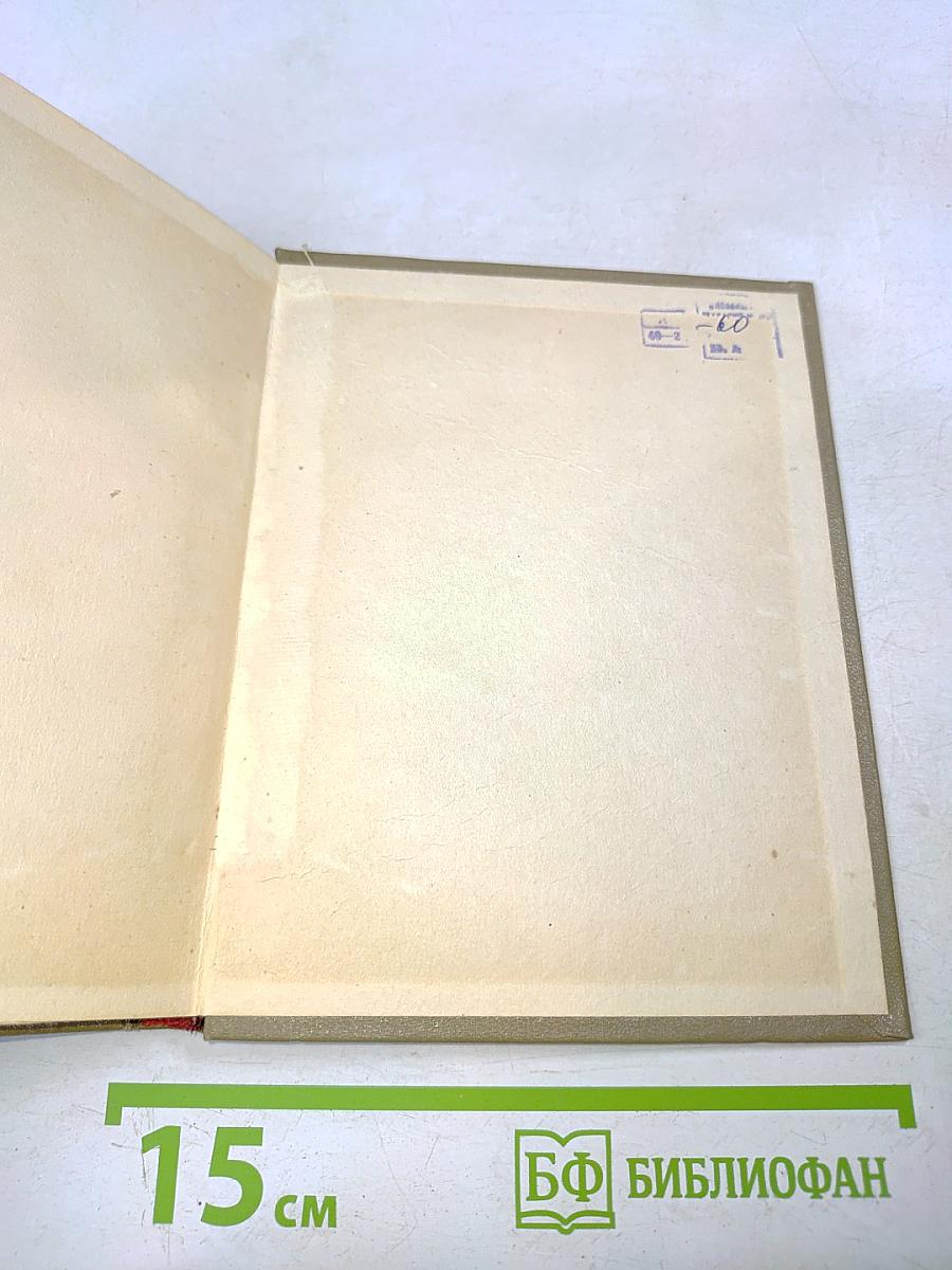 В мире слов