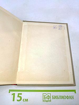 В мире слов