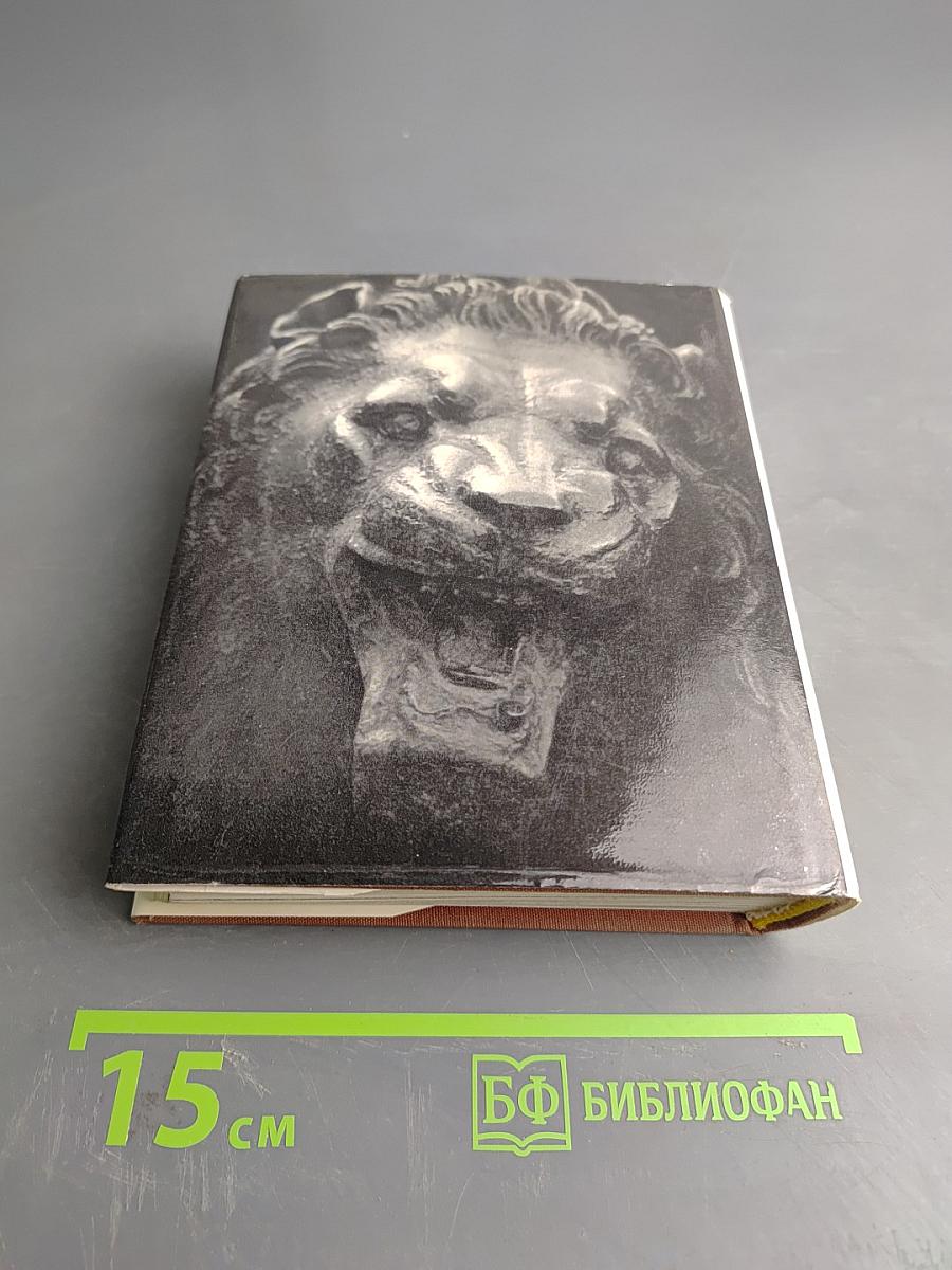 Львы стерегут город