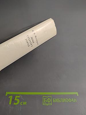 Львы стерегут город