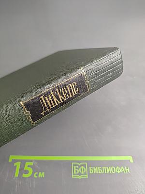 Собрание сочинений. Том шестнадцатый. Жизнь Дэвида Копперфильда, рассказанная им самим (Главы XXX-XLVII)