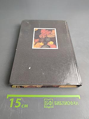 Вязание на спицах