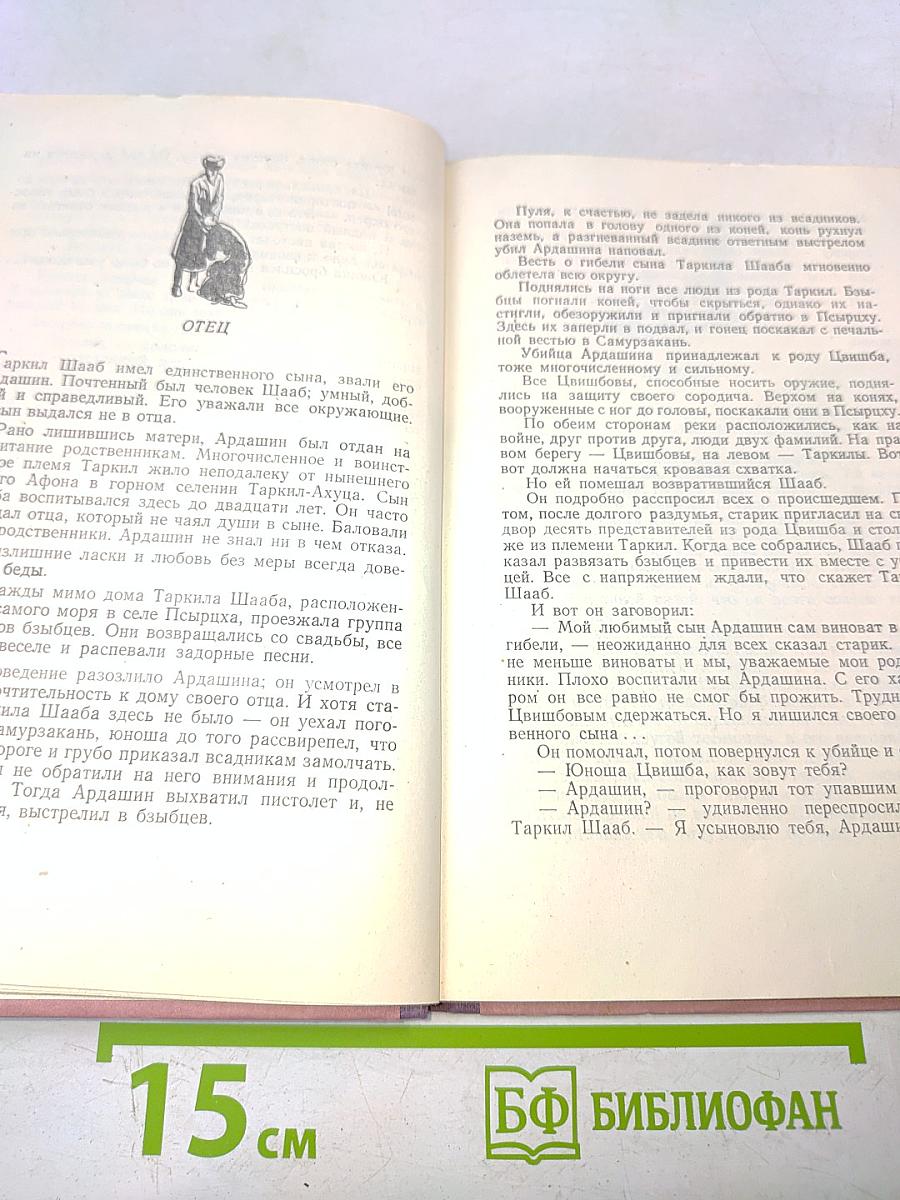 Абхазские новеллы