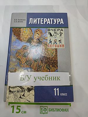Литература 11 класс, Часть 1