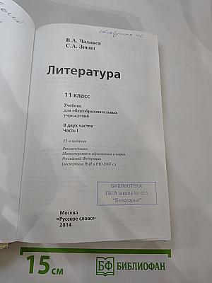 Литература 11 класс, Часть 1