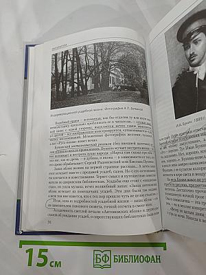 Литература 11 класс, Часть 1