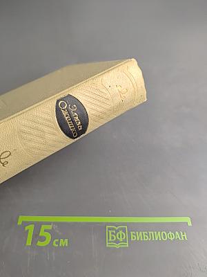Элиза Ожешко. Том второй