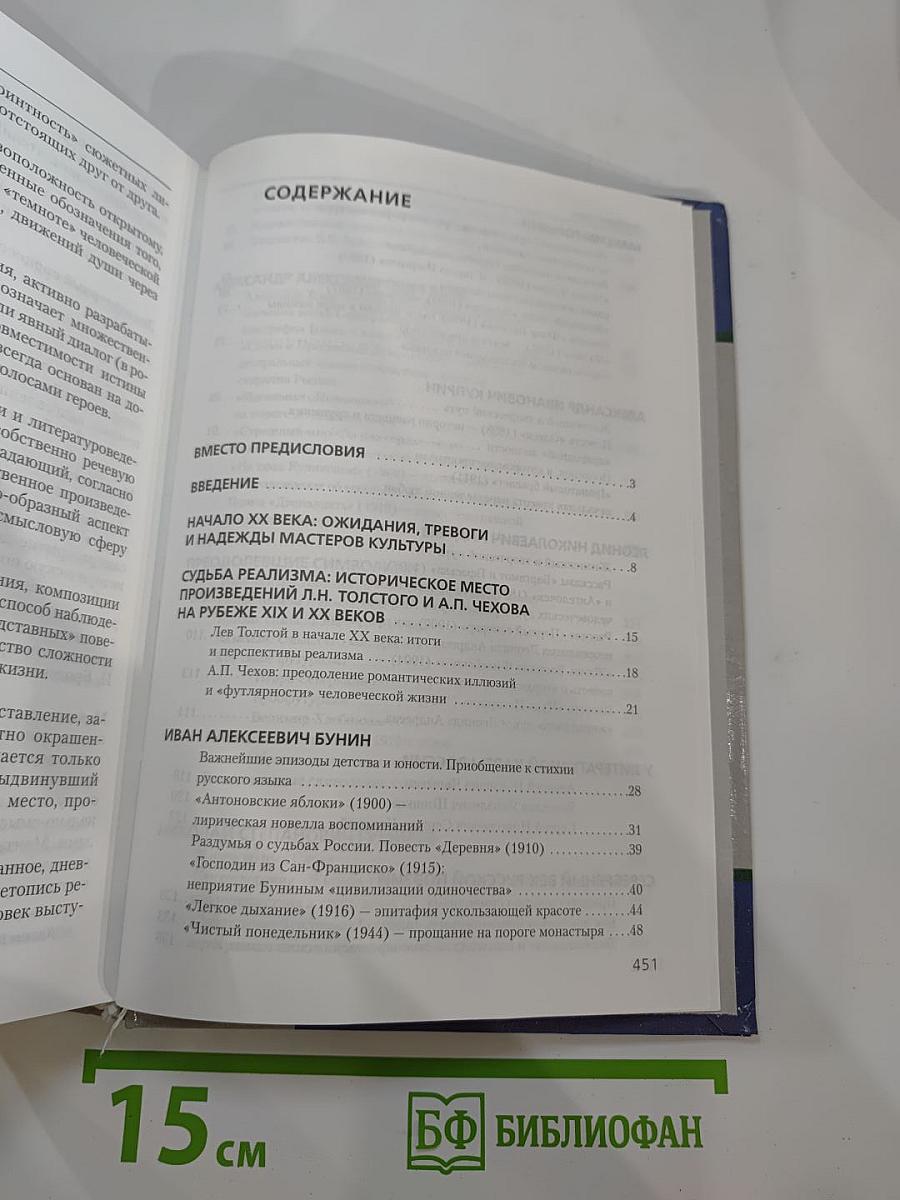 Литература 11 класс, Часть 1