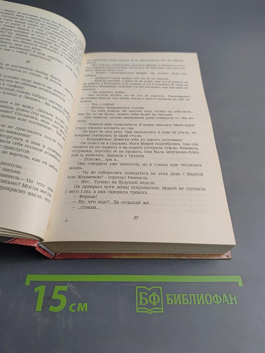 Современный французский детективный роман