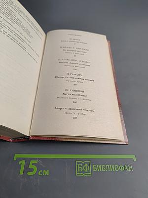 Современный французский детективный роман